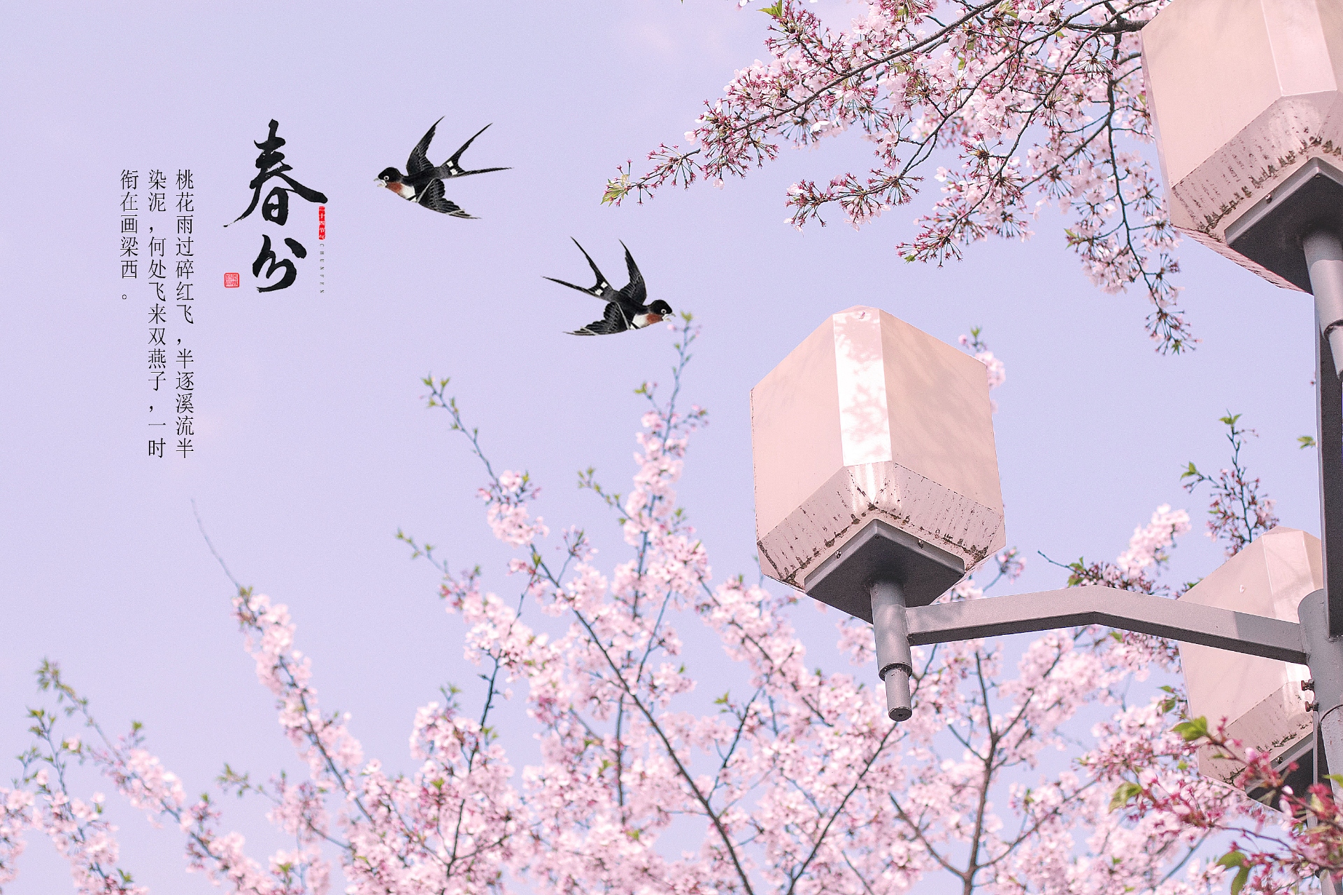 春分至，萬(wàn)物生：感受春天的溫暖與希望
